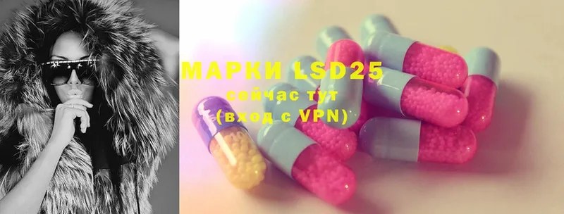 дарнет шоп  Новомичуринск  блэк спрут ТОР  LSD-25 экстази ecstasy 